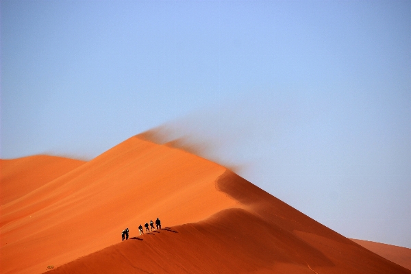 風景 砂 地平線 乾燥
 写真