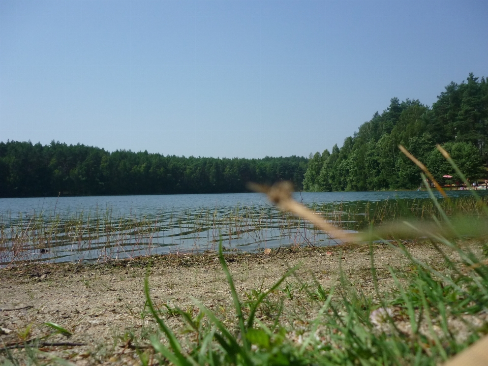 Bagno
 brzeg jezioro rzeka