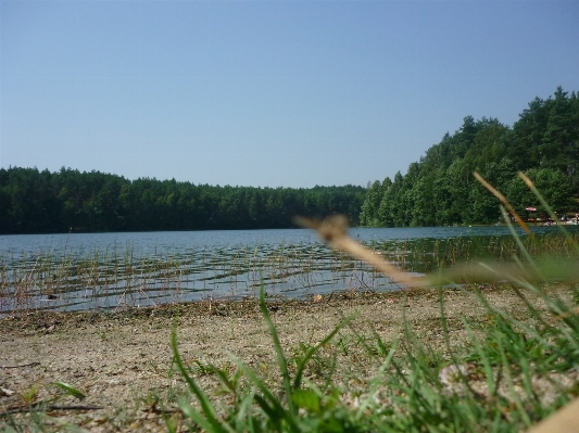 Marsh shore lake river Photo