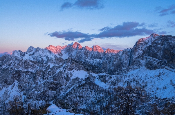 風景 木 荒野
 山 写真