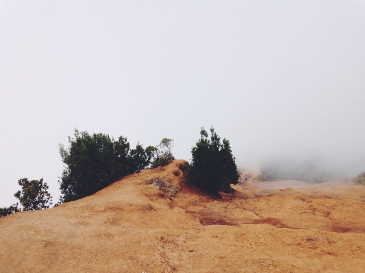 砂 山 霧 靄 写真