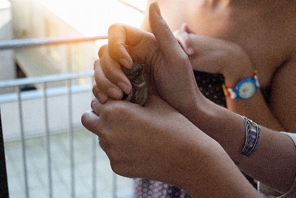 Hand person bird girl Photo