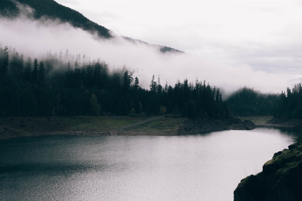 Landscape tree water nature Photo