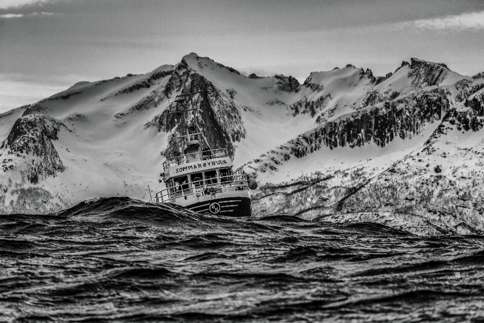 Mer montagne neige noir et blanc
