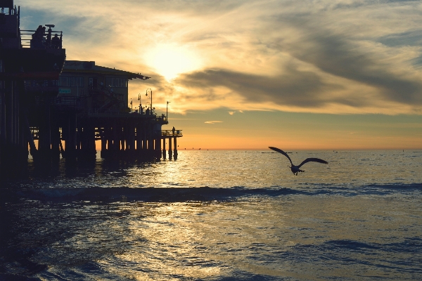 Beach sea coast ocean Photo