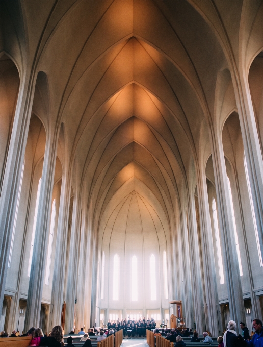 建筑学 礼堂 建筑 拱