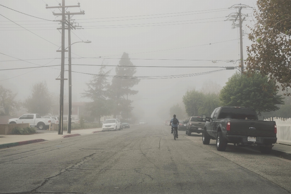 Salju musim dingin kabut jalan