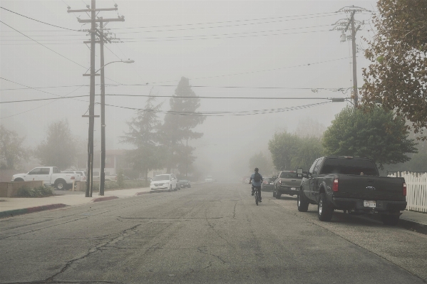 Snow winter fog road Photo