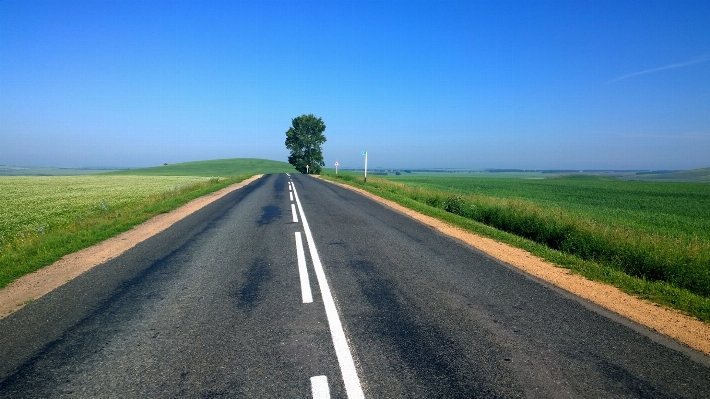 Tree horizon road field Photo