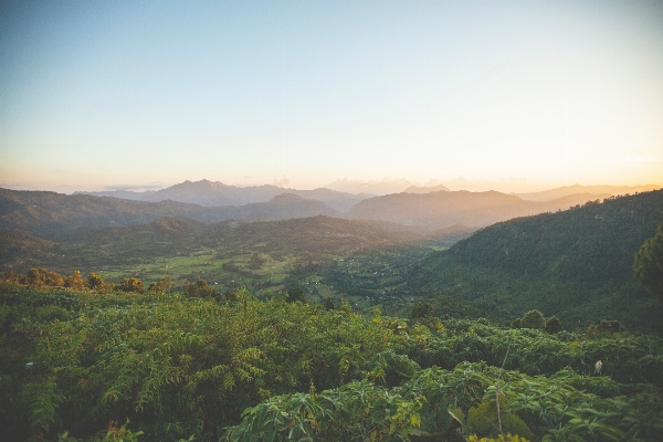 Landscape nature forest wilderness Photo