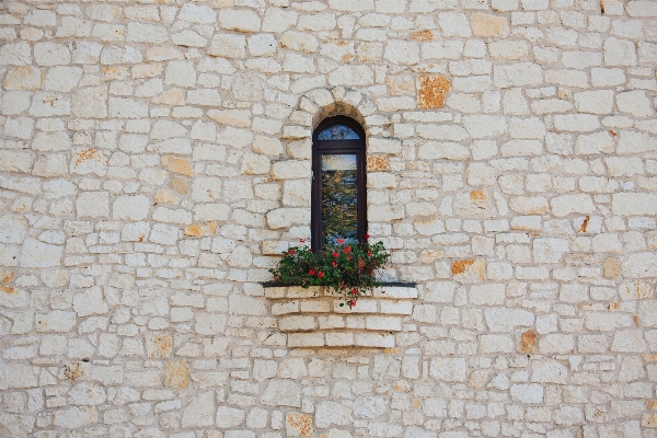 Flower window wall facade Photo