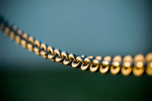 Photography chain line green Photo