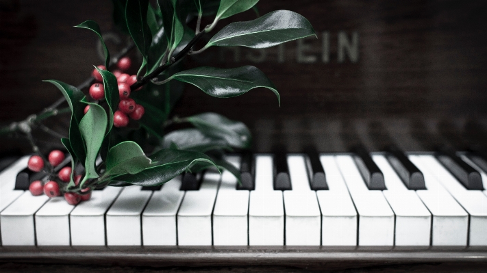 Black and white keyboard technology piano Photo