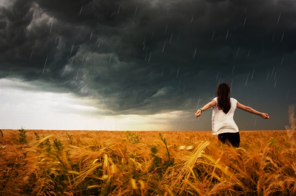 Nature grass horizon cloud Photo