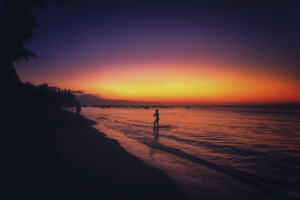 Playa mar costa océano