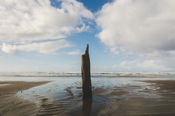 Beach sea coast water Photo