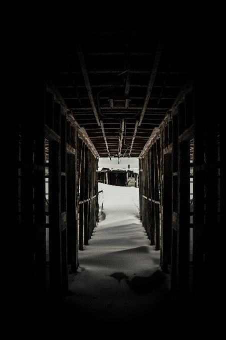 雪 冬 ライト 黒と白
