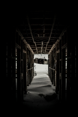 Snow winter light black and white Photo