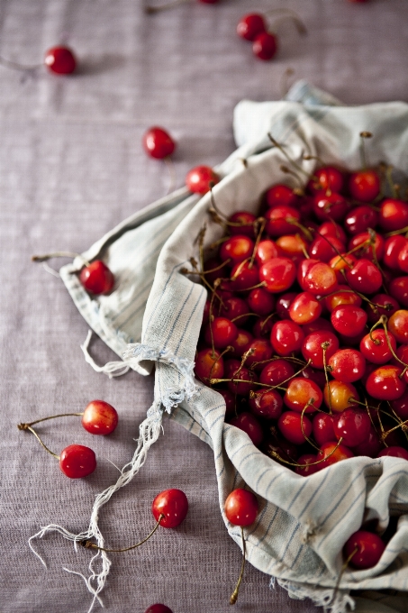 Branch plant fruit berry