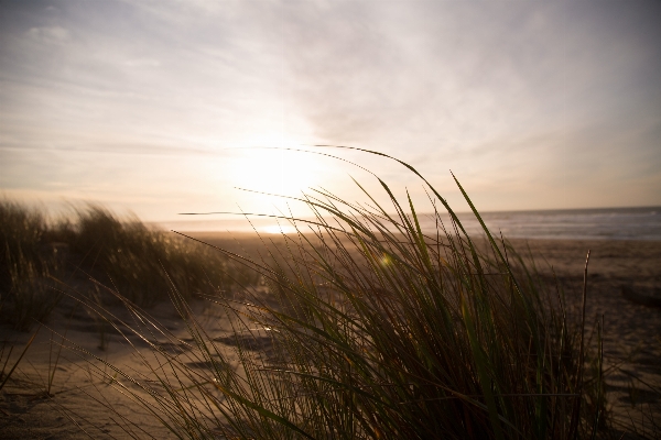 Beach landscape sea coast Photo