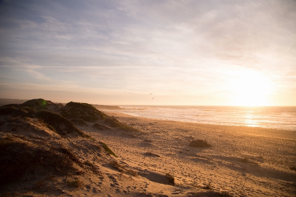 Beach landscape sea coast Photo