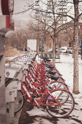 Foto Nieve invierno calle bicicleta