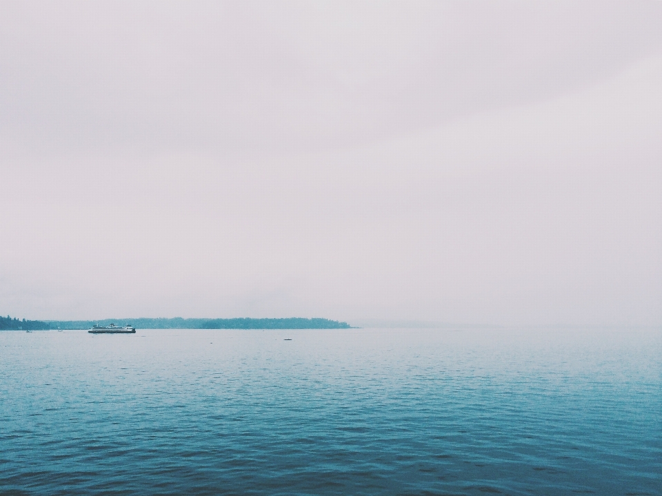 海 海岸 水 海洋