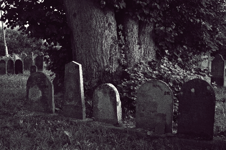 En blanco y negro
 oscuridad
 cementerio negro