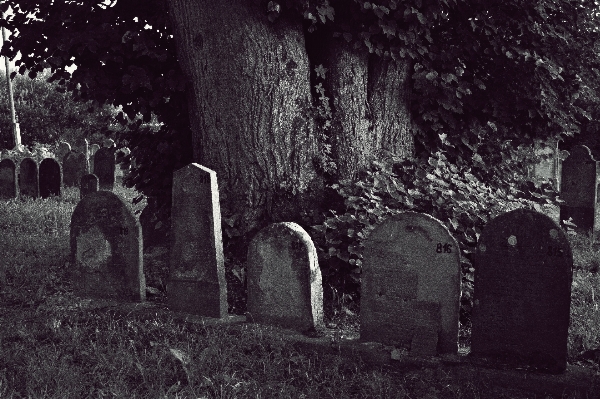 Photo Noir et blanc
 obscurité
 cimetière