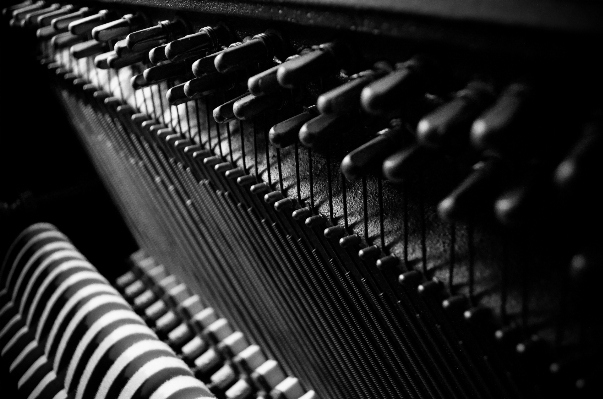 Foto Preto e branco
 instrumento musical piano