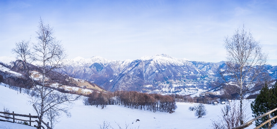 пейзаж дерево гора снег