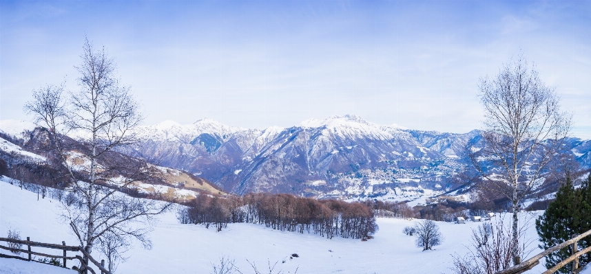 風景 木 山 雪 写真