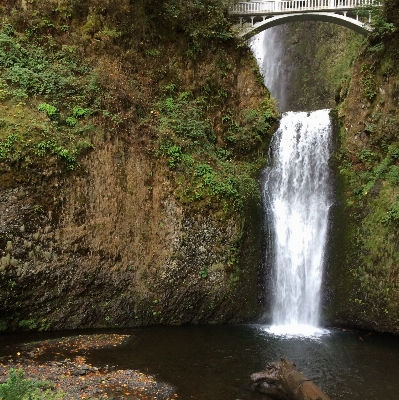 Foto água cachoeira stream corpo de água
