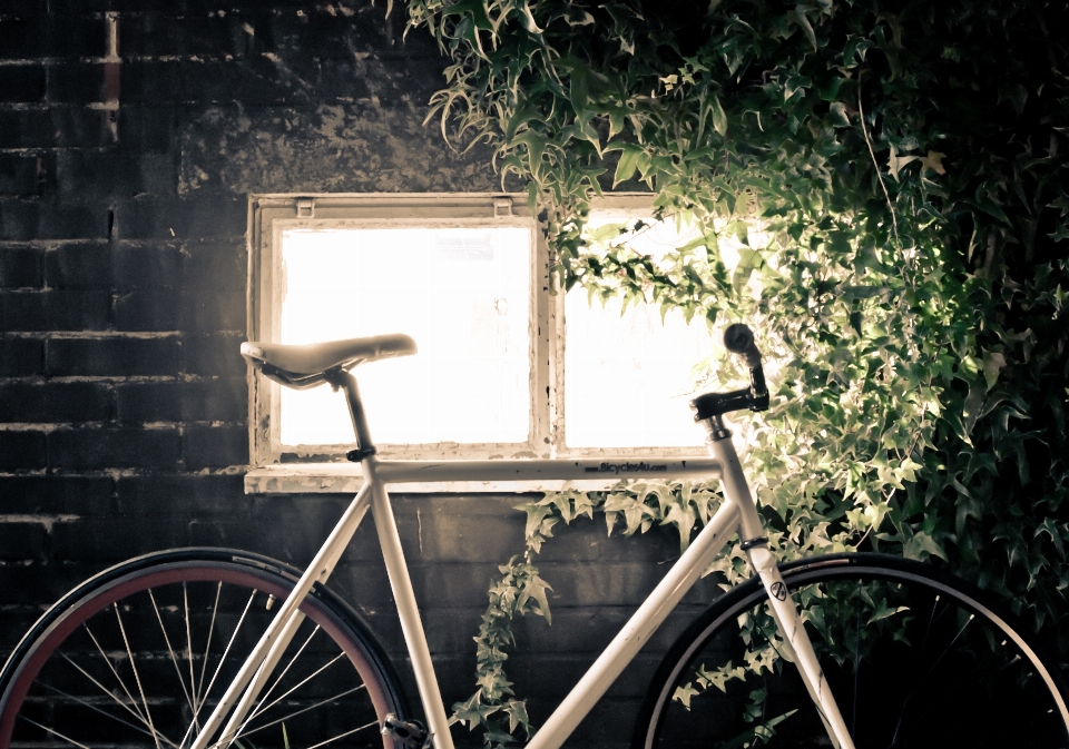 Leggero notte ruota bicicletta