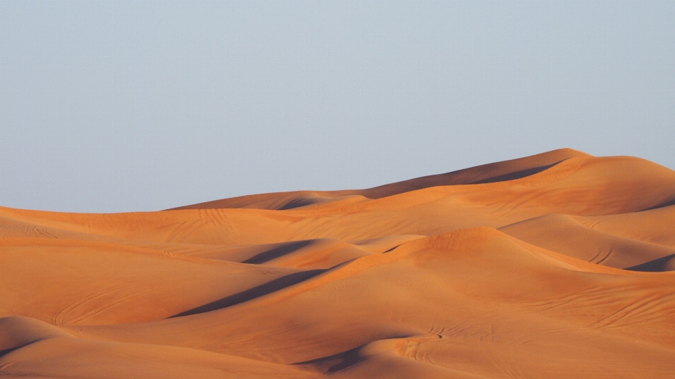 Landscape sand desert dune