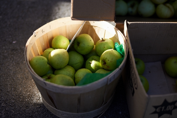 Foto Apple plantar fruta comida