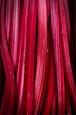 Purple petal red produce Photo