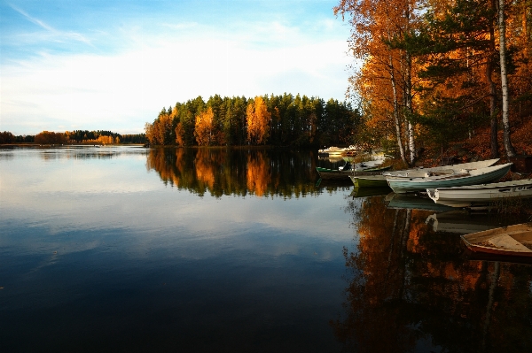 Landscape tree water nature Photo