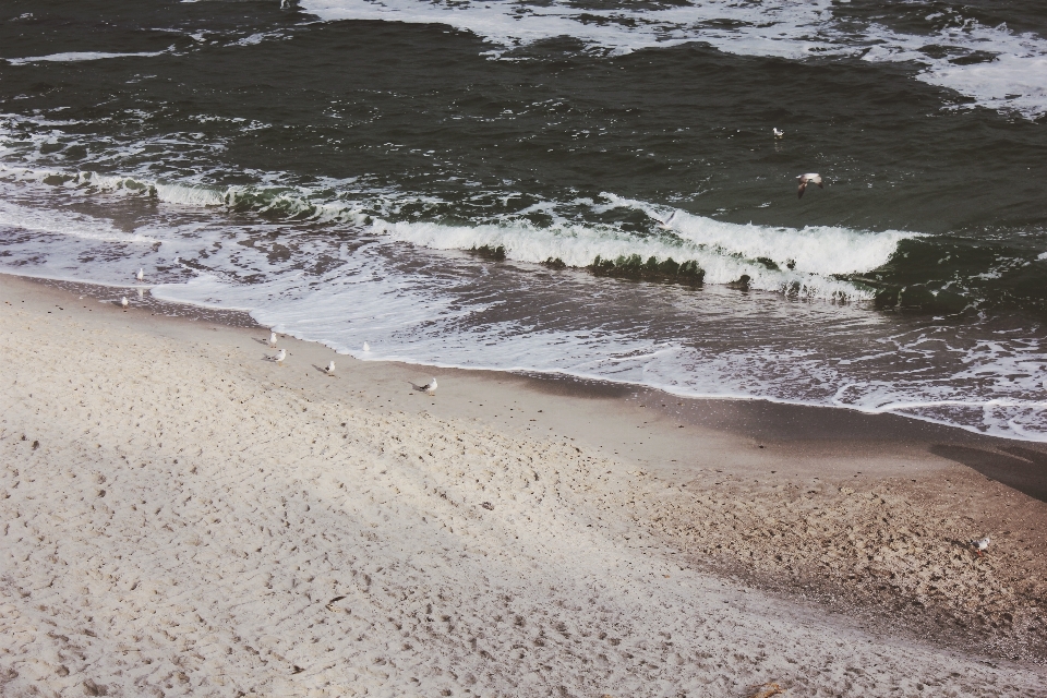 Pantai laut pesisir air