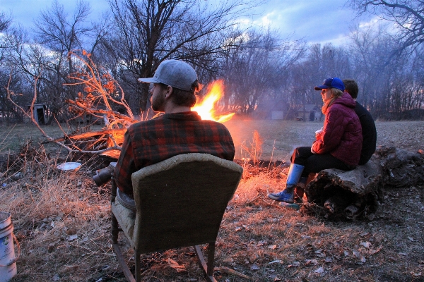 Forest wilderness autumn fire Photo