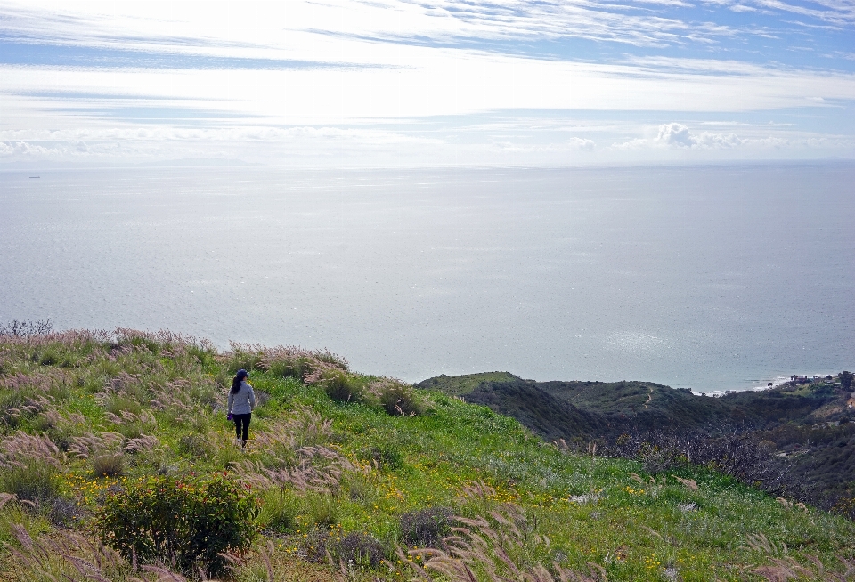 Landscape sea coast ocean