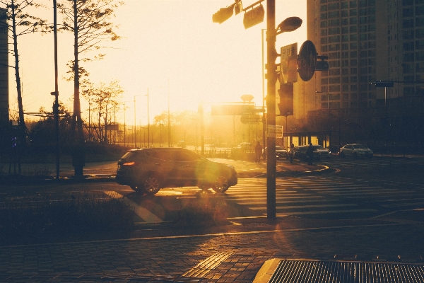 Winter light fog sunrise Photo