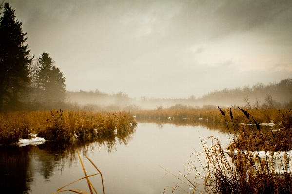 Landscape tree water nature Photo