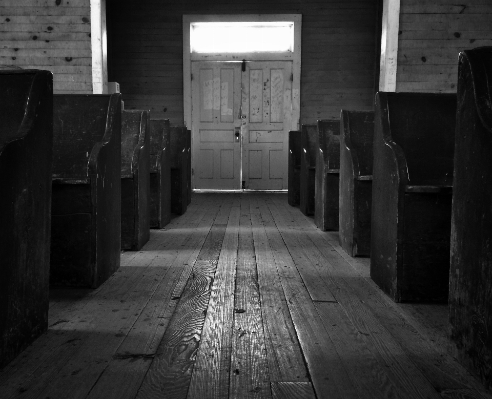 Luz en blanco y negro
 madera camino