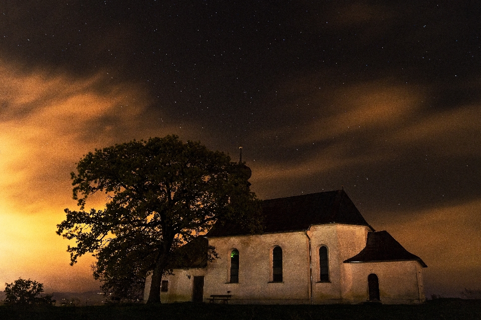 Tree light cloud sky