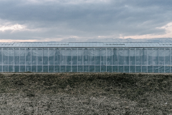 Architecture structure glass building Photo