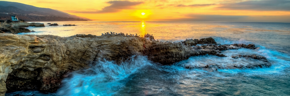 海 海岸 海洋 波 写真