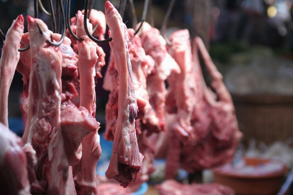 Gericht essen fleisch küche Foto