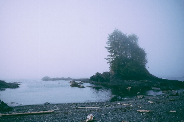 ビーチ 風景 海 海岸 写真