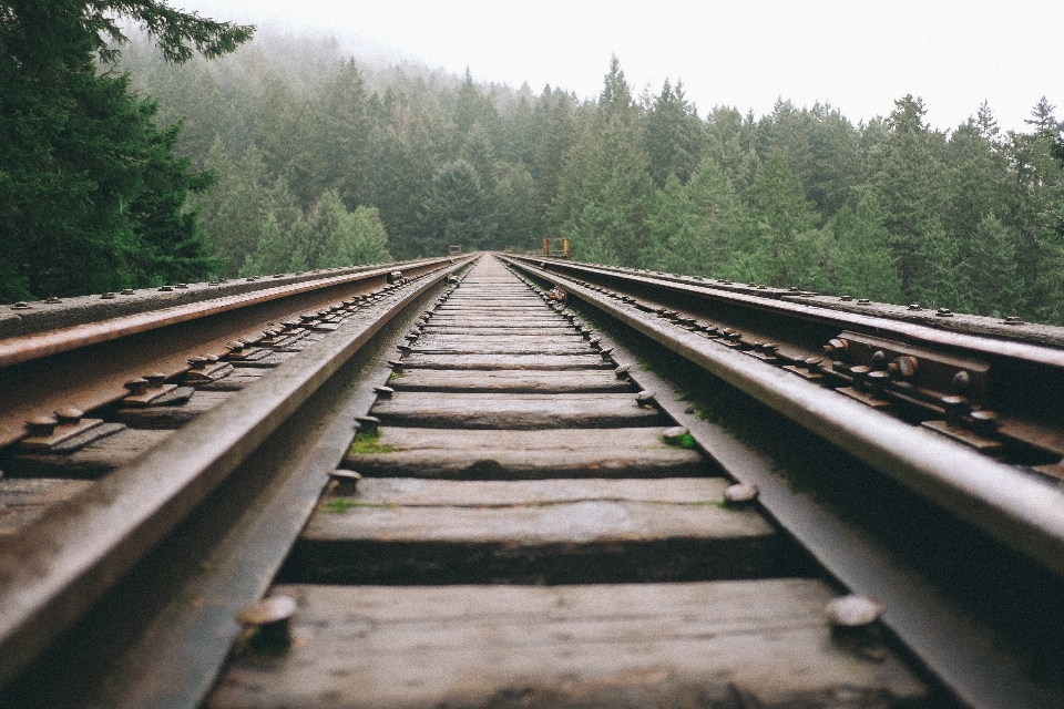 Landschaft natur schiene eisenbahn